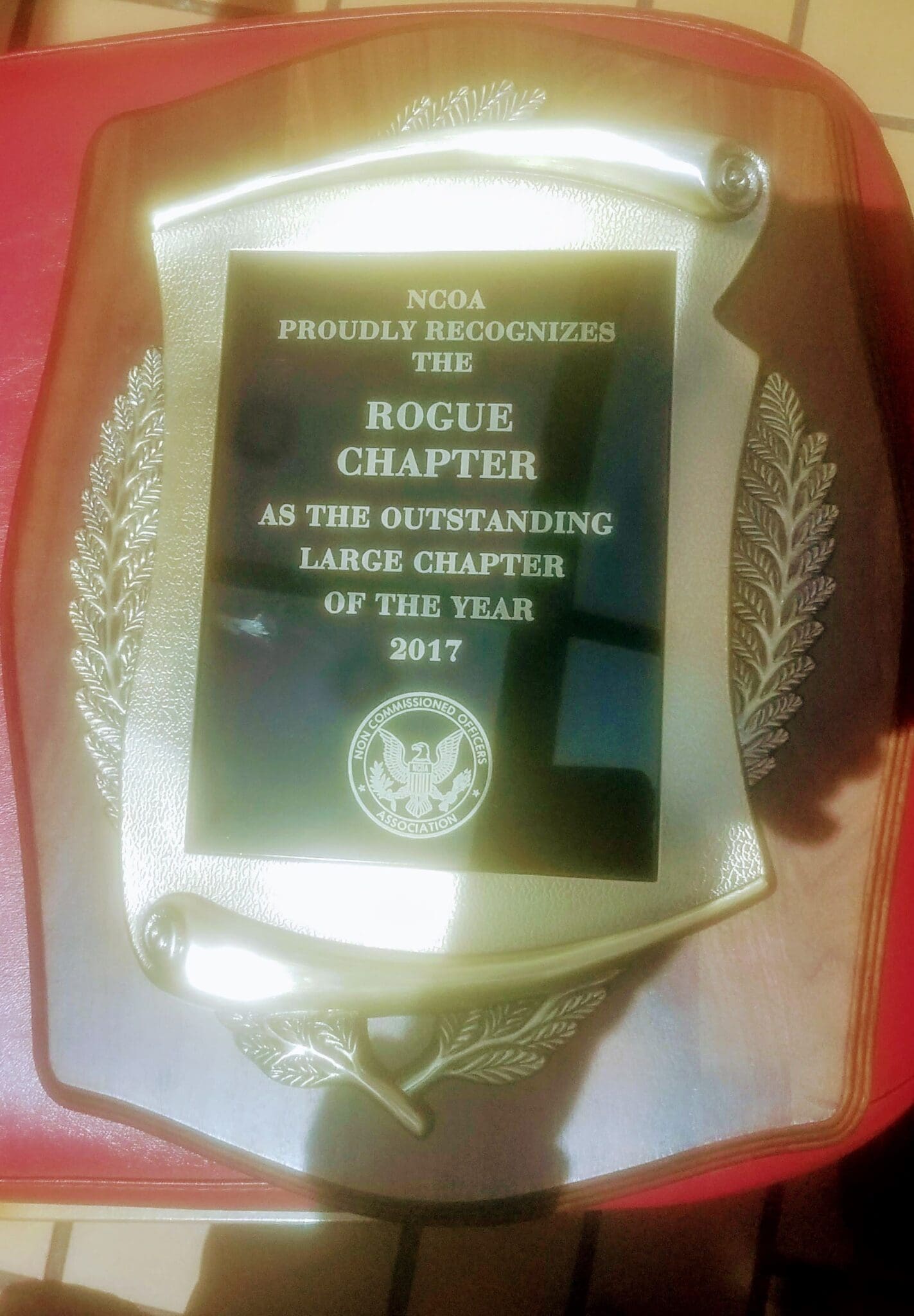 Outstanding Large Chapter of the Year 2017